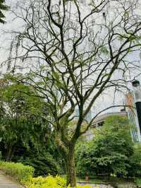 A Day at HortPark: Singapore’s Gardening Haven