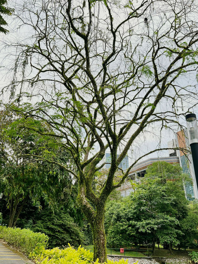 A Day at HortPark: Singapore’s Gardening Haven