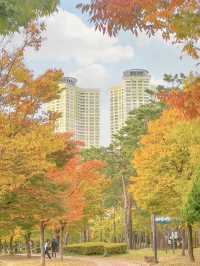 단풍 시즌 가야할 부산 단풍 명소 모음💛
