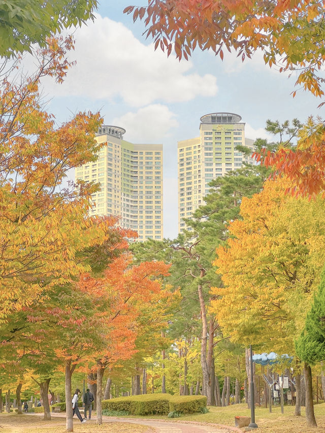 단풍 시즌 가야할 부산 단풍 명소 모음💛