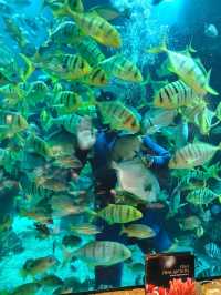 Aquarium Restaurant in Bali
