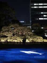 【大人デートスポット】風情ある庭園で季節を感じながら散策