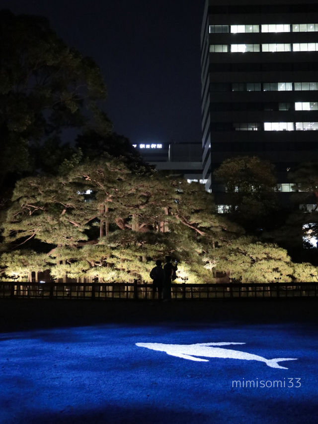 【大人デートスポット】風情ある庭園で季節を感じながら散策