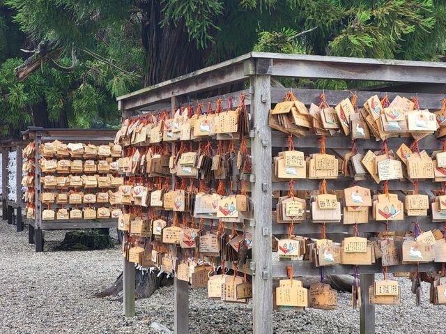 日本最古老神社！出雲大社