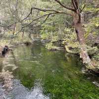 秋天行山好去處 —上地高