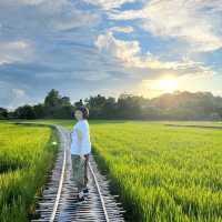 วิวทุ่งนาบ้านนาต้นจั่น