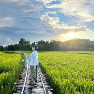 The view of the rice fields at Ban Na Ton Chan.