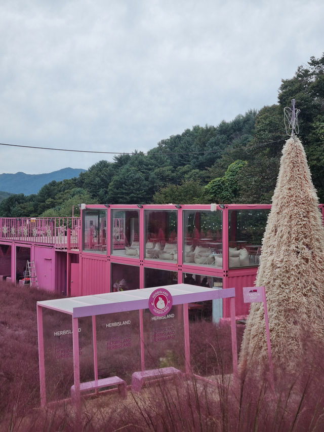 가을엔 핑크뮬리