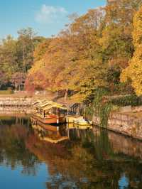 【大阪】紅葉が美しい！秋の大阪城🏯