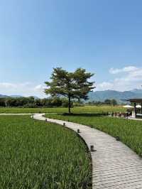 香港周邊游｜歸隱田園🌾清遠稻田咖啡館+餐廳