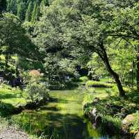 Shirakawago in Summer