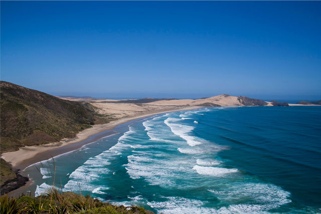 Ride the Waves at Cape Reinga: New Zealand’s Surfing Paradise