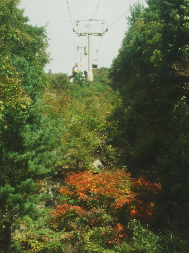 韓國旅行 大邱 八公山漫遊：風景、纜車、美食全攻略