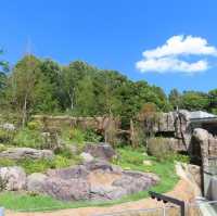 動物園系列（一）～上野動物園