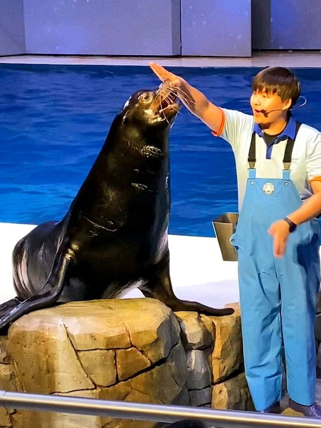 제주 실내 데이트 장소 찾는다면 여기 가세요🐠