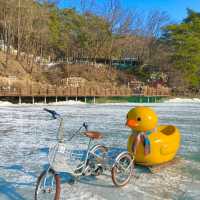 역시 겨울에는 오리썰매 무조건 이지🐤