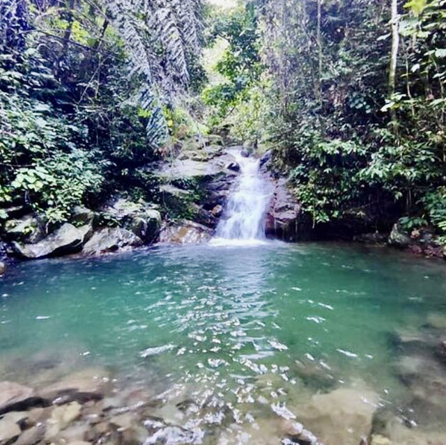 Camping in the Wild Jungle of Phuket 