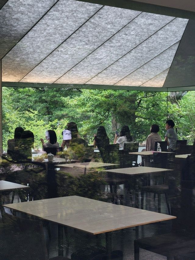 💚도쿄 고미술품 관람, 아름다운 정원, 카페까지 즐기는 네즈미술관🍀