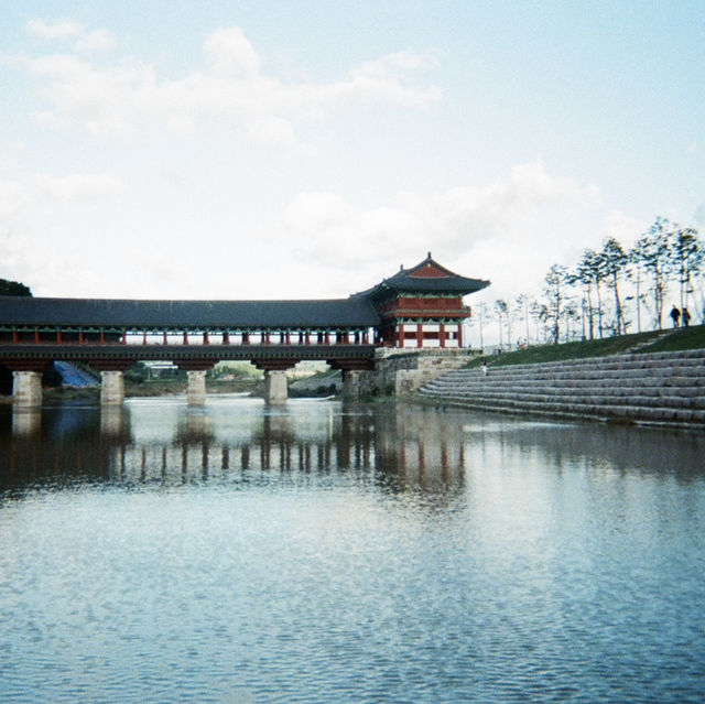 경주에서 만난 늦여름
