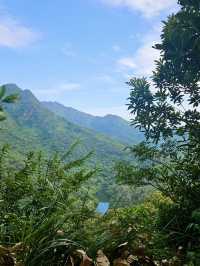 香港行山 – 蝴蝶飛舞+流水響聲 – 流水響和鶴藪水塘