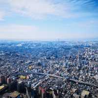 Sky-High Cityscapes: My Thrilling Adventure at Abeno Harukas!