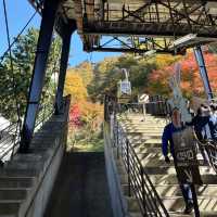 Mt. Fuji Panoramic Ropeway • Fuji 🇯🇵 Japan