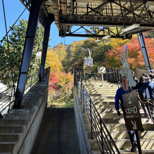 Mt. Fuji Panoramic Ropeway • Fuji 🇯🇵 Japan