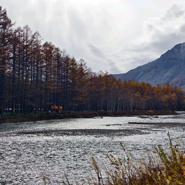 คามิโคจิ Kamikochi - Japan Alps