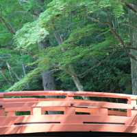 小國神社の参道