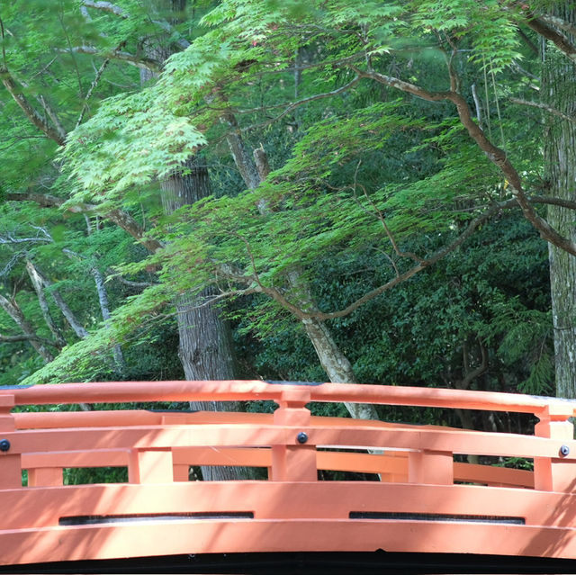 小國神社の参道
