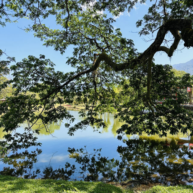 Nature’s Beauty and Timeless Charm: My Day at Taman Tasik Taiping!