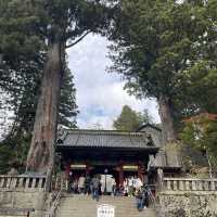 【栃木】東京から行きやすい人気紅葉スポット🍁
