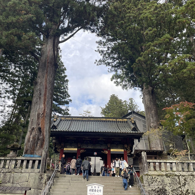【栃木】東京から行きやすい人気紅葉スポット🍁