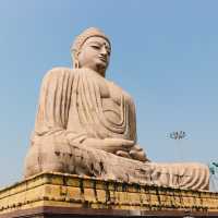The Great Buddha of Daijokyo