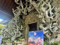 Discover the Enchantment of Taman Dedari