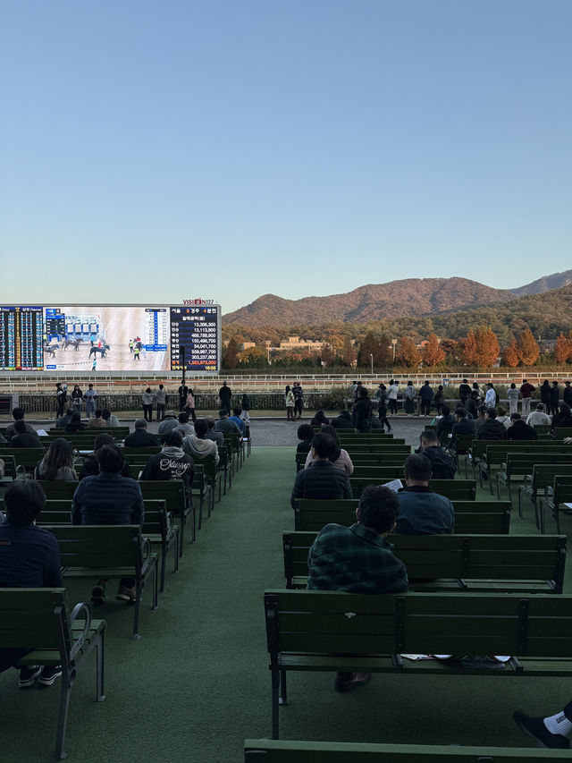 이색데이트를 원한다면 “렛츠런파크”