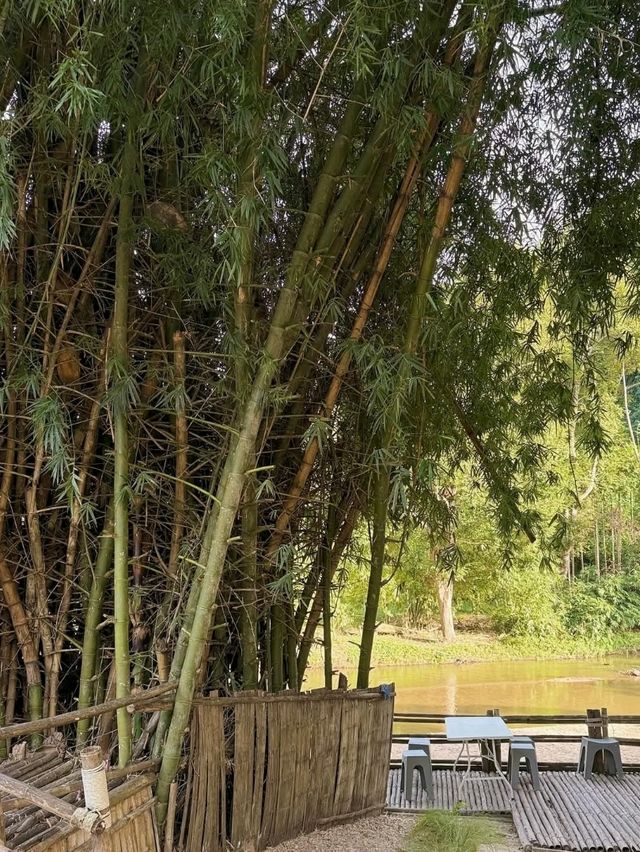 ร้านธรรมชาติ คาเฟ่  ราชบุรี