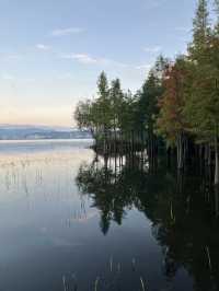 The most tranquil part of Erhai Lake