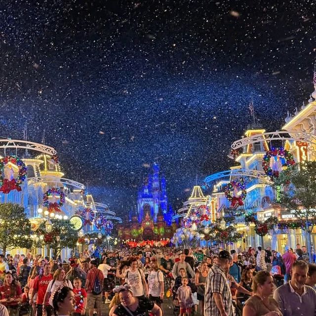 The Disney World Christmas Parade, Florida 