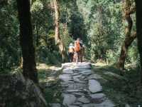 Mardi Himal 