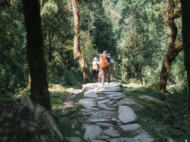 Mardi Himal 