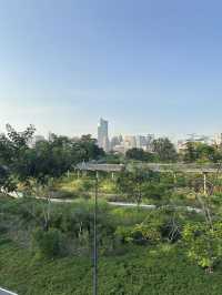 พิกัดสถานที่ถ่ายรูปสวย สวนเบญจิกิติ 🌳