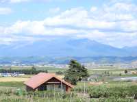 山野之間  六花亭Campana