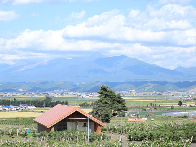 山野之間  六花亭Campana