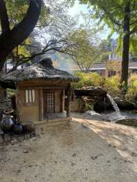 เกาะนามิ