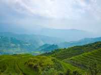 Exploring the Beauty of Longji Rice Terraces