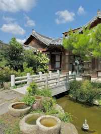 🏡전주 물왓동네 한옥마을 애견동반 카페