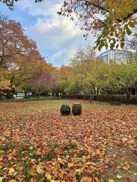 대구에서 산책하기 좋은 역사가 있는 공원🌳💚
