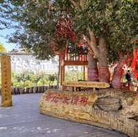 A Holiday Trip to 北疆 (Northern Xinjiang), China
