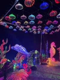 Light in the Garden แสงในสวนสวยครั้งแรกจันทบุรี